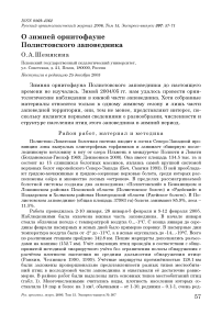 О зимней орнитофауне Полистовского заповедника