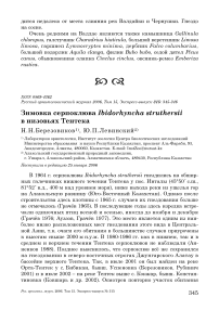 Зимовка серпоклюва Ibidorhyncha struthersii в низовьях Тентека