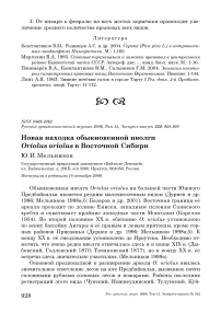 Новая находка обыкновенной иволги Oriolus oriolus в Восточной Сибири