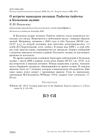 О встрече выводков пеганки Tadorna tadorna в Кольском заливе