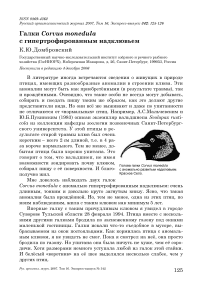 Галки Corvus monedula с гипертрофированным надклювьем