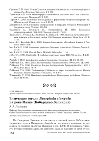 Зимующие гоголи Bucephala clangula на реке Малке (Кабардино-Балкария)