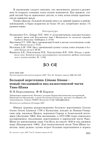 Большой веретенник Limosa limosa - новый гнездящийся вид казахстанской части Тянь-Шаня