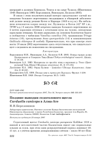 Поздние выводки седоголового щегла Carduelis caniceps в Алма-Ате