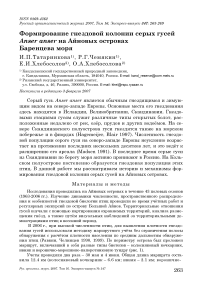 Формирование гнездовой колонии серых гусей Anser anser на Айновых островах Баренцева моря