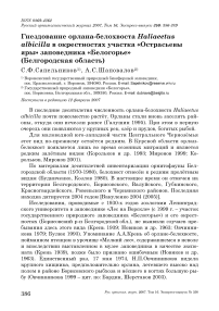 Гнездование орлана-белохвоста Haliaeetus albicilla в окрестностях участка «Острасьевы яры» заповедника «Белогорье» (Белгородская область)