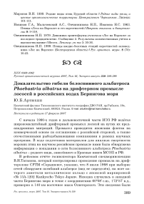 Доказательство гибели белоспинного альбатроса Phoebastria albatrus на дрифтерном промысле лососей в российских водах Берингова моря