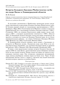 Встреча большого баклана Phalacrocorax carbo на озере Вялье в Ленинградской области