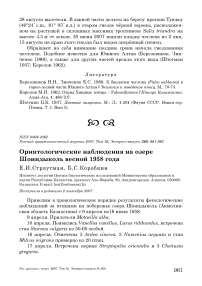 Орнитологические наблюдения на озере Шоиндыколь весной 1958 года