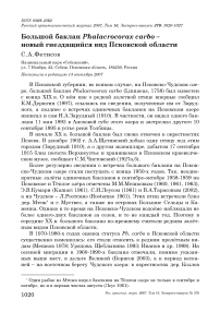 Большой баклан Phalacrocorax carbo -новый гнездящийся вид Псковской области