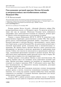 Гнездование речной крачки Sterna hirundo в антропогенных местообитаниях поймы Нижней Оби