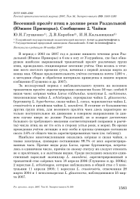 Весенний пролёт птиц в долине реки Раздольной (Южное Приморье). Сообщение 2. Чайки