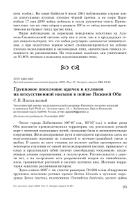 Групповое поселение крачек и куликов на искусственной насыпи в пойме Нижней Оби