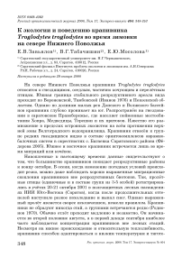 К экологии и поведению крапивника Troglodytes troglodytes во время зимовки на севере Нижнего Поволжья