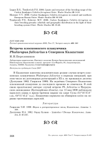 Встреча плосконосого плавунчика Phalaropus fulicarius в Северном Казахстане