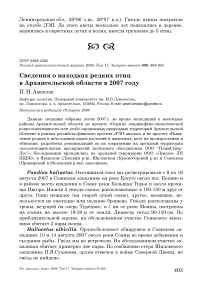 Сведения о находках редких птиц в Архангельской области в 2007 году