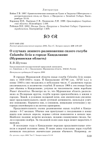 О случаях зимнего размножения сизого голубя Columba livia в городе Кандалакше (Мурманская область)