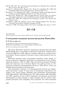 О поедании птицами жуков-щелкунов Elateridae