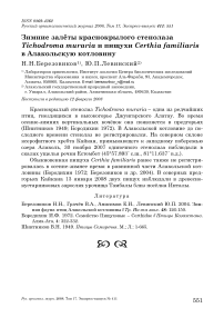 Зимние залёты краснокрылого стенолаза Tichodroma muraria и пищухи Certhia familiaris в Алакольскую котловину