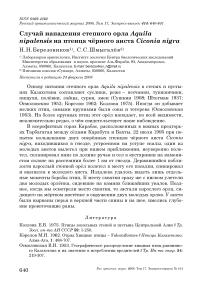 Случай нападения степного орла Aquila nipalensis на птенца чёрного аиста Ciconia nigra