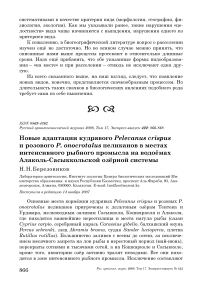 Новые адаптации кудрявого Pelecanus crispus и розового P. onocrotalus пеликанов в местах интенсивного рыбного промысла на водоёмах Алаколь-Сасыккольской озёрной системы