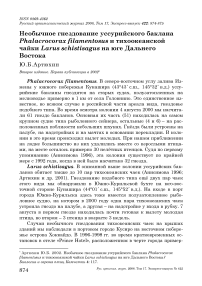 Необычное гнездование уссурийского баклана Phalacrocorax filamentosus и тихоокеанской чайки Larus schistisagus на юге Дальнего Востока