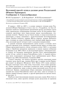 Весенний пролёт птиц в долине реки Раздольной (Южное Приморье). Сообщение 3. Соколообразные