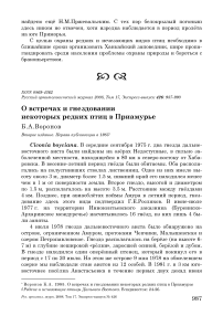 О встречах и гнездовании некоторых редких птиц в Приамурье