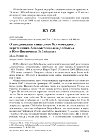 О гнездовании азиатского бекасовидного веретенника Limnodromus semipalmatus в юго-восточном Забайкалье