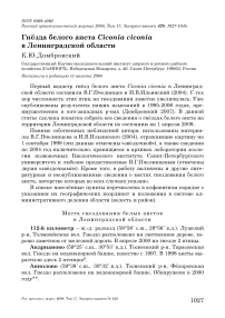 Гнёзда белого аиста Ciconia ciconia в Ленинградской области