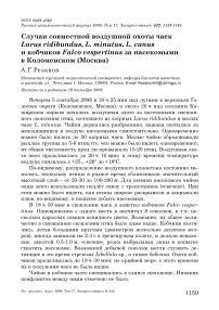 Случаи совместной воздушной охоты чаек Larus ridibundus, L. minutus, L. canus и кобчиков Falco vespertinus за насекомыми в Коломенском (Москва)