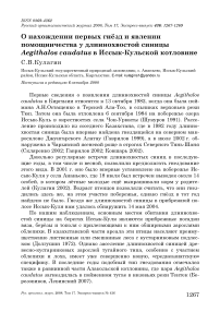 О нахождении первых гнёзд и явлении помощничества у длиннохвостой синицы Aegithalos caudatus в Иссык-Кульской котловине