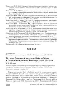 Встреча бородатой неясыти Strix nebulosa в Гатчинском районе Ленинградской области