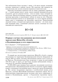 Первые случаи гнездования желтоголовой трясогузки Motacilla citreola в Калининграде и его окрестностях