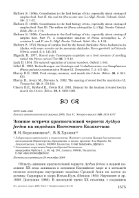 Зимние встречи красноголовой чернети Aythya ferina на водоёмах Восточного Казахстана