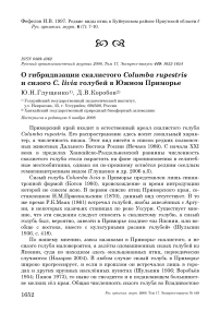 О гибридизации скалистого Columba rupestris и сизого C. livia голубей в Южном Приморье