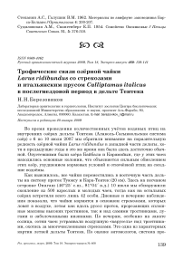 Трофические связи озёрной чайки Larus ridibundus со стрекозами и итальянским прусом Calliptamus italicus в послегнездовой период в дельте Тентека