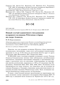 Новый случай одиночного гнездования кудрявого пеликана Pelecanus crispus на озере Алаколь