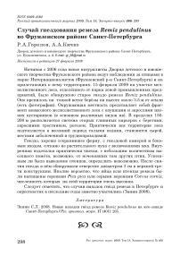 Случай гнездования ремеза Remiz pendulinus во Фрунзенском районе Санкт-Петербурга