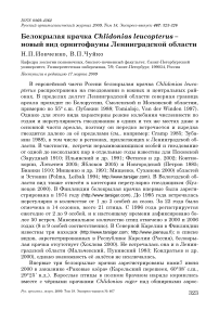 Белокрылая крачка Chlidonias leucopterus - новый вид орнитофауны Ленинградской области