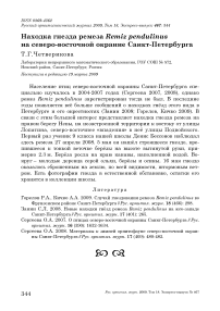 Находка гнезда ремеза Remiz pendulinus на северо-восточной окраине Санкт-Петербурга