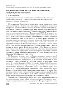 О происхождении сизых чаек Larus canus, зимующих на Балканах