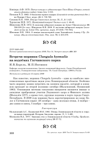 Встречи морянки Clangula hyemalis на водоёмах Гатчинского парка