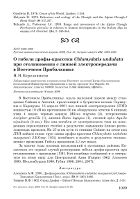 О гибели дрофы-красотки Chlamydotis undulata при столкновении с линией электропередачи в Восточном Прибалхашье