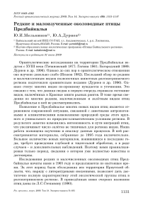 Редкие и малоизученные околоводные птицы Предбайкалья