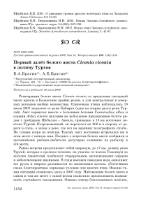 Первый залёт белого аиста Ciconia ciconia в долину Тургая