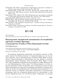 Нахождение индийской камышевки Acrocephalus agricola в пойме Иртыша в междуречье Ульбы и Убы (Западный Алтай)