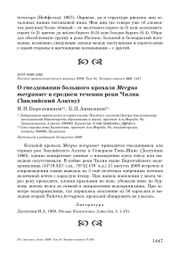 О гнездовании большого крохаля Mergus merganser в среднем течении реки Чилик (Заилийский Алатау)