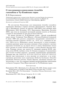 О гнездовании коноплянки Acanthis cannabina в Чу-Илийских горах