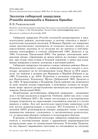 Экология сибирской завирушки Prunella montanella в Нижнем Приобье